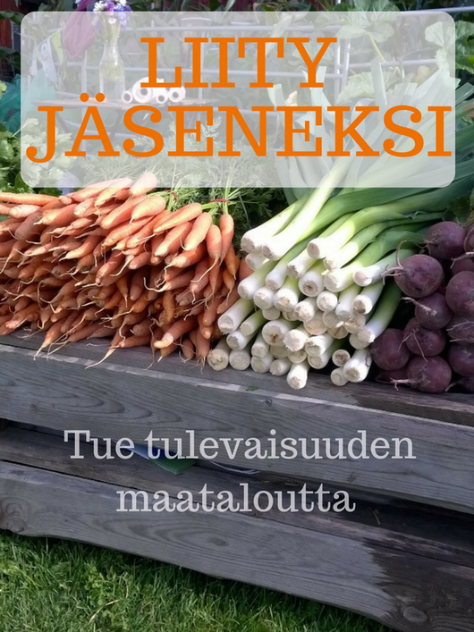 Jäsenyys