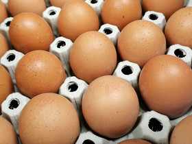 Luomukananmunat (15 kpl)