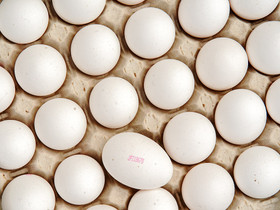Vapaan kanan munat (30 kpl)