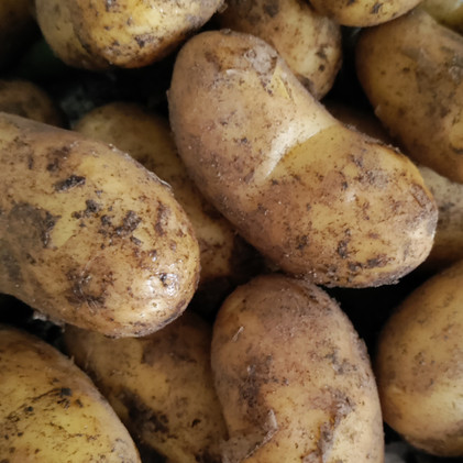 Uusi peruna (kiinteä Annabelle) (1kg)