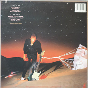 Don Felder: Airborne LP (Käyt)