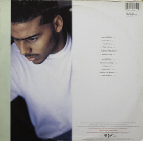 Al B. Sure!: Private Times...And The Whole 9! LP (Käyt)