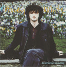 Andy White: Destination Beautiful CD