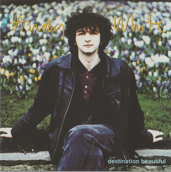 Andy White: Destination Beautiful CD