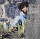 Anita Hirvonen: Ans kattoo ny LP (Käyt)