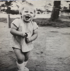 Appleton: Rauhalantiellä LP (Käyt)