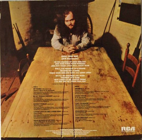 B. W. Stevenson: My Maria LP (Käyt)