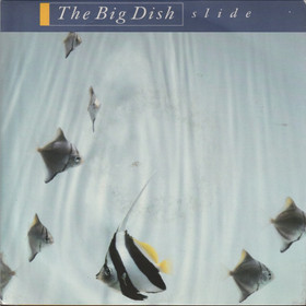 Big Dish: Slide / Reverend Killer 7