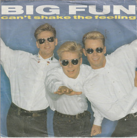 Big Fun: Can't Shake The Feeling 7
