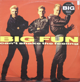 Big Fun: Can't Shake The Feeling 12