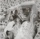 Björk: Vespertine CD (Käyt)