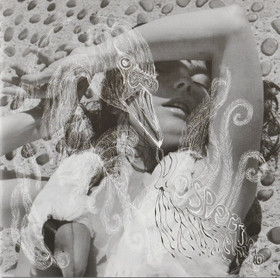 Björk: Vespertine CD (Käyt)