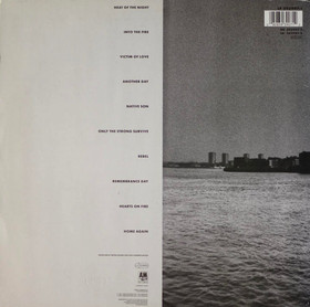 Bryan Adams: Into The Fire LP (Käyt)