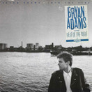 Bryan Adams: Into The Fire LP (Käyt)