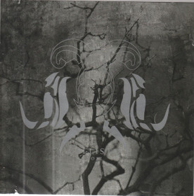 Callisto: Noir CD (Käyt)