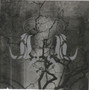 Callisto: Noir CD (Käyt)
