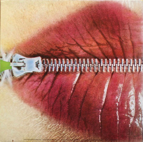 Capability Brown: Voice LP (Käyt)