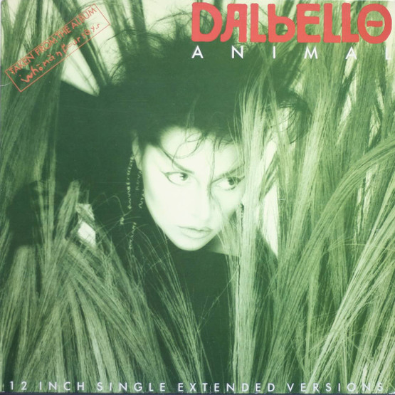 Dalbello: Animal 12