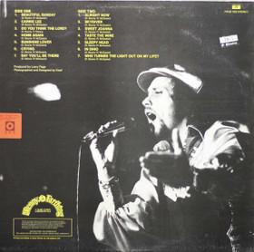 Daniel Boone: Daniel Boone LP (Käyt)