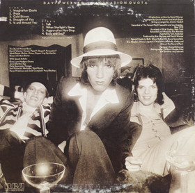 David Werner: Imagination Quota LP (Käyt)