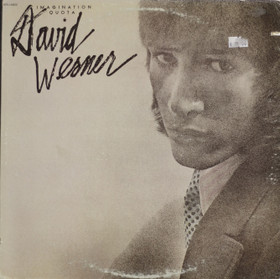 David Werner: Imagination Quota LP (Käyt)