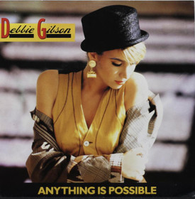 Debbie Gibson: Anything Is Possible 7