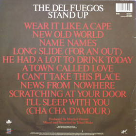Del Fuegos : Stand Up LP (Käyt)