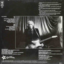 Elliott Murphy: Murph The Surf LP (Käyt)