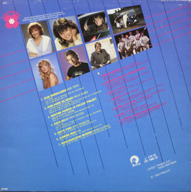 V/A: Finnhits - 14 huippuhittiä LP (Käyt)