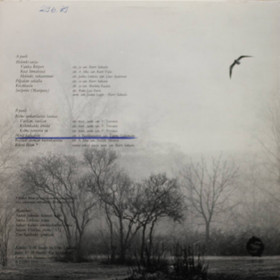 Harri Saksala: Vaellan vaellan LP (Käyt)