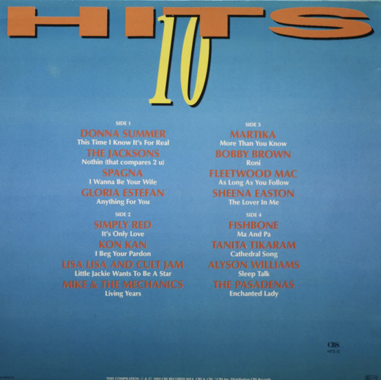 V/A: Hits 10. 2LP (Käyt)