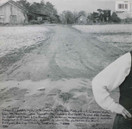 Hooters: One Way Home LP (Käyt)