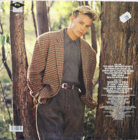Jason Donovan: Ten Good Reasons LP (Käyt)