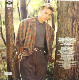 Jason Donovan: Ten Good Reasons LP (Käyt)