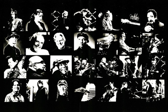 Jerry Lee Lewis: Last Man Standing Live DVD (Käyt)