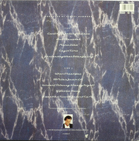 Julio Iglesias: Starry Night LP (Käyt)