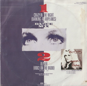 Kim Carnes: Crazy In The Night (Barking At Airplanes) 7
