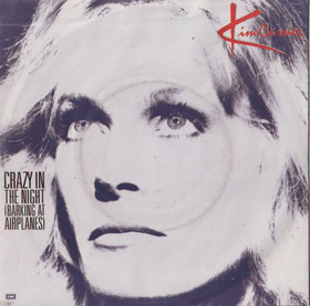 Kim Carnes: Crazy In The Night (Barking At Airplanes) 7