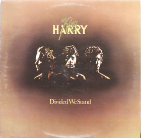 King Harry: Divided We Stand LP (Käyt)