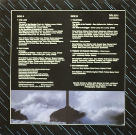 Moving Hearts: The Storm LP (Käyt)