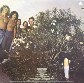 Mr. Big: Photographic Smile LP (Käyt)