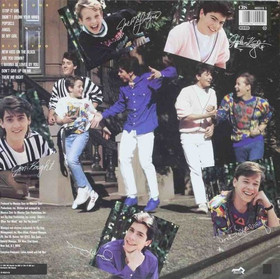New Kids On The Block: New Kids On The Block LP (Käyt)