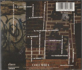 NKOTB: H.I.T.S. (Käyt. CD)