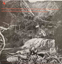 Orquesta Mondragón: Bon Voyage LP (Käyt)