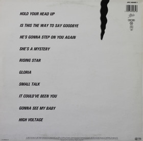 Party Boys: The Party Boys LP (Käyt)