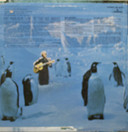 Pat Paulsen: Live At The Icehouse LP (Käyt)
