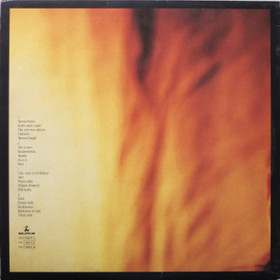 Pave Maijanen: Kaikki nämä vuodet 2LP (Käyt)