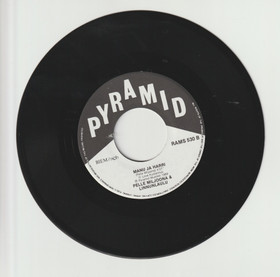 Pelle Miljoona & Linnunlaulu: Dazvidania Afganistan 7