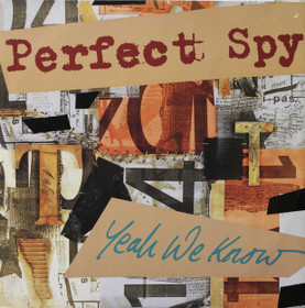 Perfect Spy: Yeah We Know 12