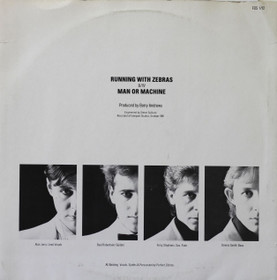 Perfect Zebras: Running With Zebras 12